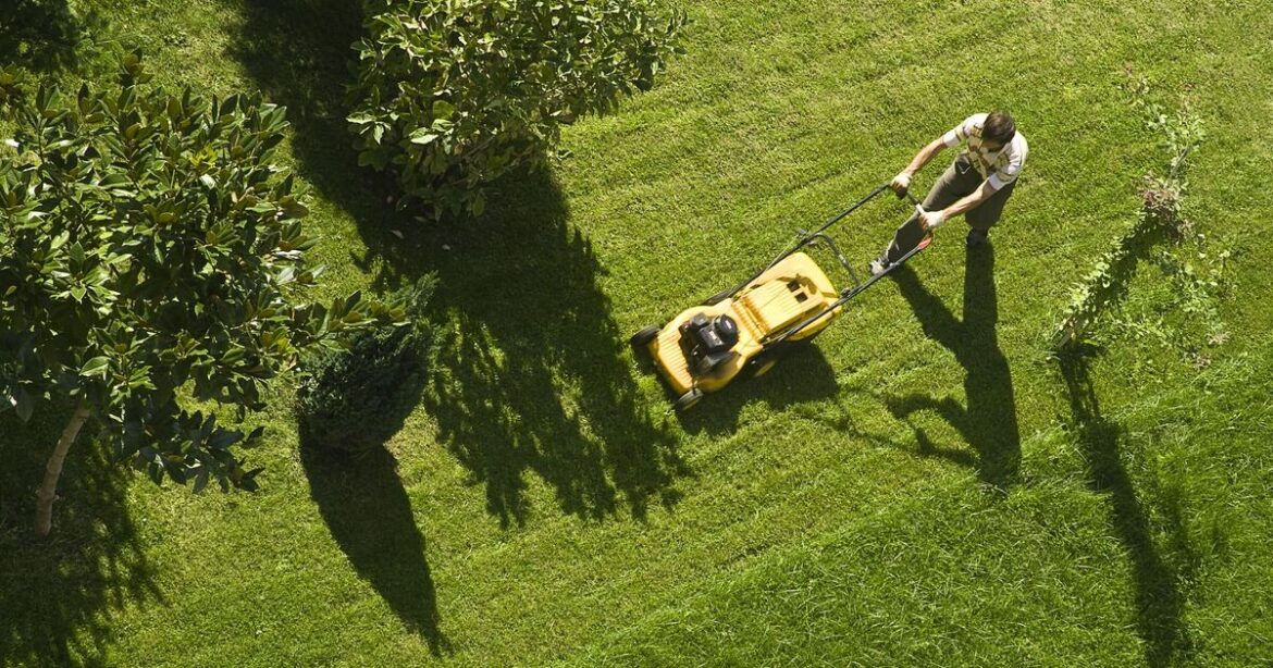 Gardeners urged to avoid 1 common lawn mowing mistake in August