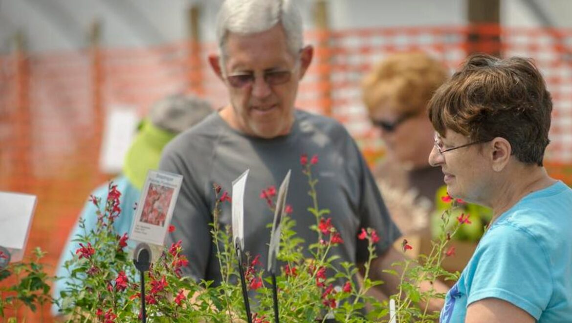 ISU Extension and Outreach launches Garden Academy in September
