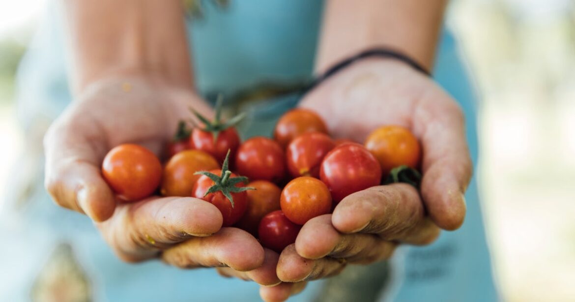 Is It Safe To Consume Unwashed Garden Vegetables? Is It Safe To Consume Unwashed Garden Vegetables?