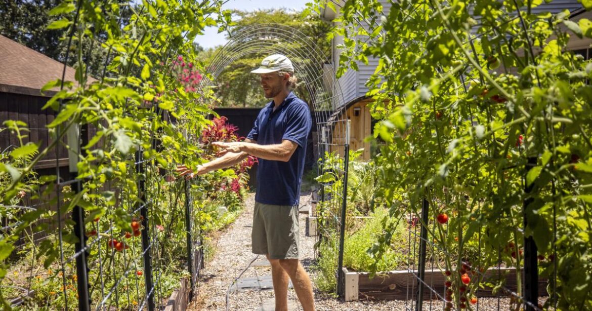 Charleston landscaper designs edible gardens
