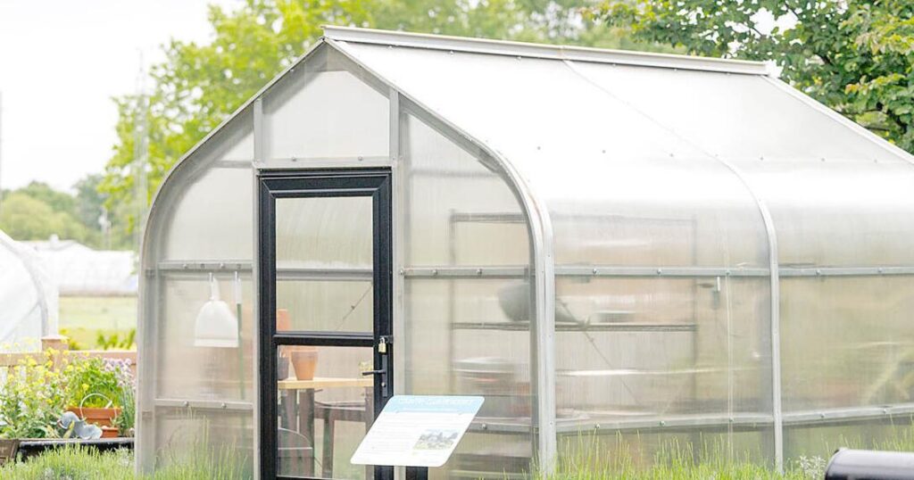 Experts encourage gardeners to use greenhouses for intended purpose | News