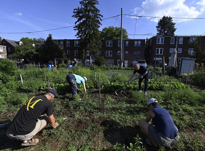 Community Garden in Lancaster