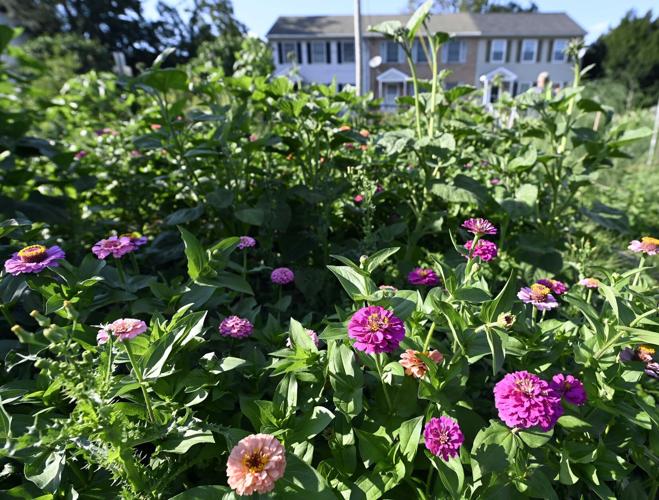 Community Garden in Lancaster