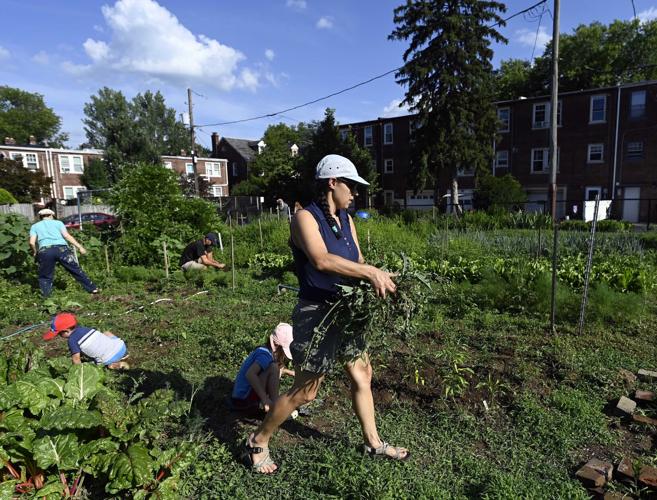 Community Garden in Lancaster