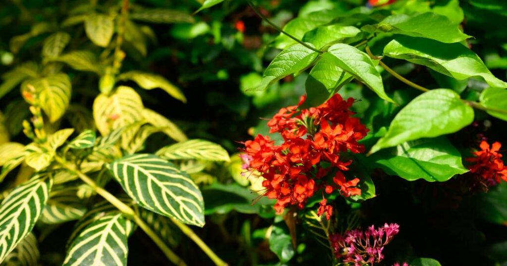 Year-round gardening: Becoming a Colorado Master Gardener volunteer | Lifestyle Year-round gardening: Colorado home to wide variety of dazzling public gardens | Lifestyle