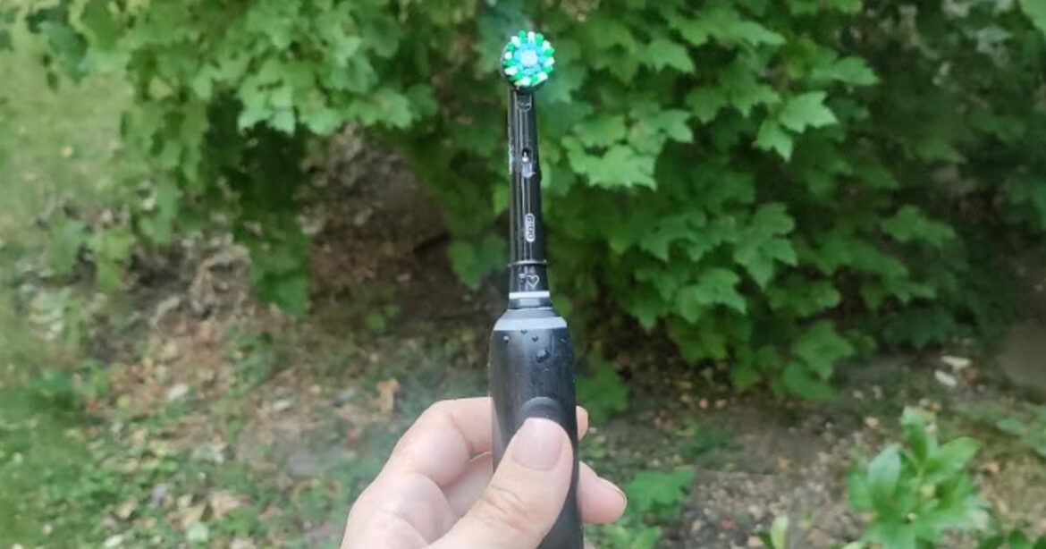 UK Gardeners Urged To Take An Electric Toothbrush To Their Tomato Plants