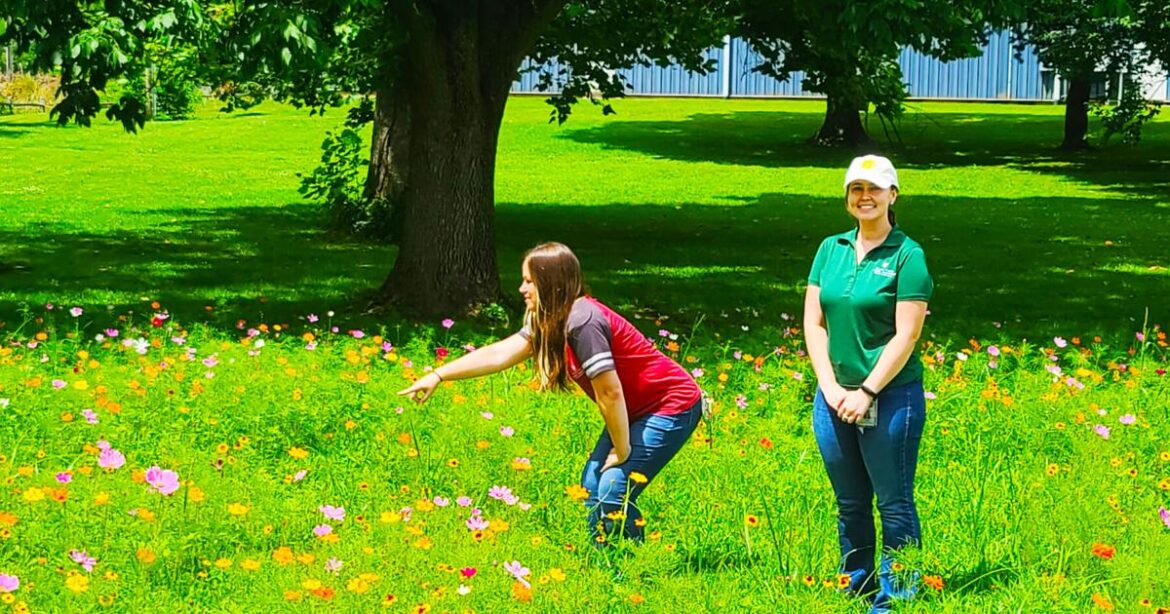 Health Department pollinator garden in full bloom | Local News Health Department pollinator garden in full bloom | Local News