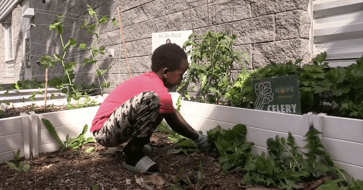 Kids dig into gardening fun at Anchorage library program | Things To Do
