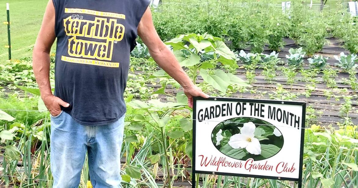 Davises awarded Garden of the Month for July | Frontpage