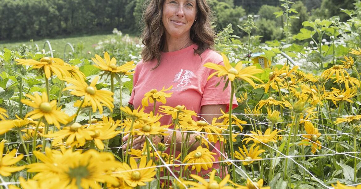 Flower farm business blossoms in Milton | Business Flower farm business blossoms in Milton | Business