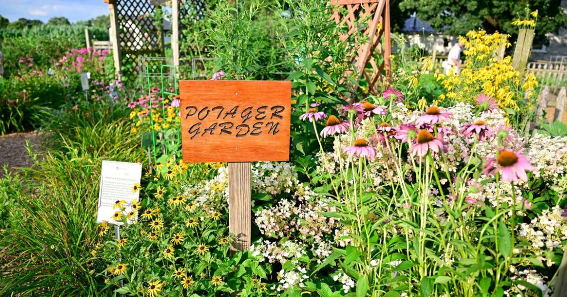 Tour idea gardens, pollinator plants and Lancaster County's top flowers at this free site [photos] | Home & Garden