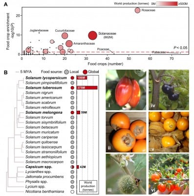 Harnessing Virus Tech and Solanaceae Genomics to Feed the Future Harnessing Virus Tech and Solanaceae Genomics to Feed the Future