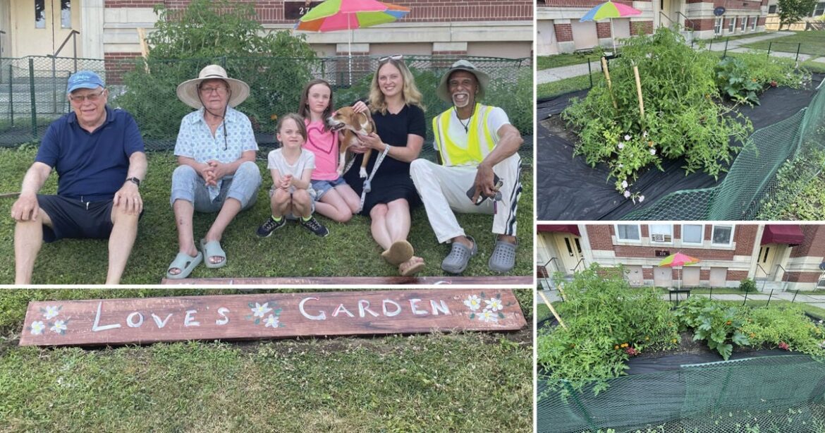 ‘Love’s Garden.’ Pittsfield resident Ricardo Reeves starts community garden at Onota Street apartment building | Central Berkshires 'Love's Garden.' Pittsfield resident Ricardo Reeves starts community garden at Onota Street apartment building | Central Berkshires