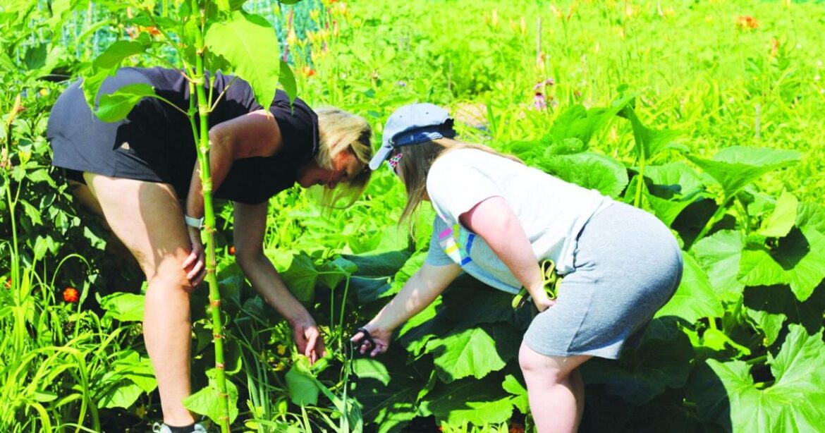 Growing together | Waukesha Co. News Growing together | Waukesha Co. News