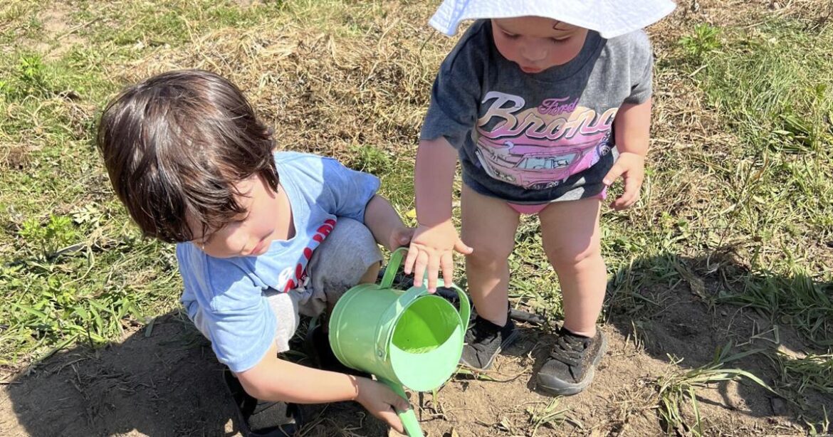 Let kids create their own garden, and other tips for instilling a love for growing things | News