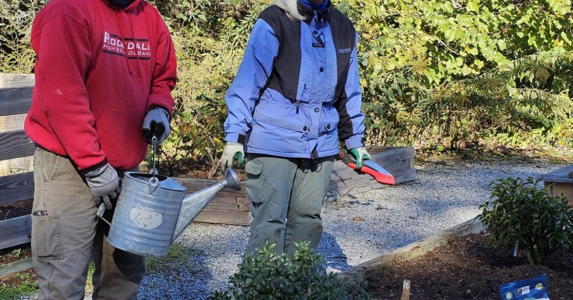 Garden exhibit shows what to plant in Transylvania | Community