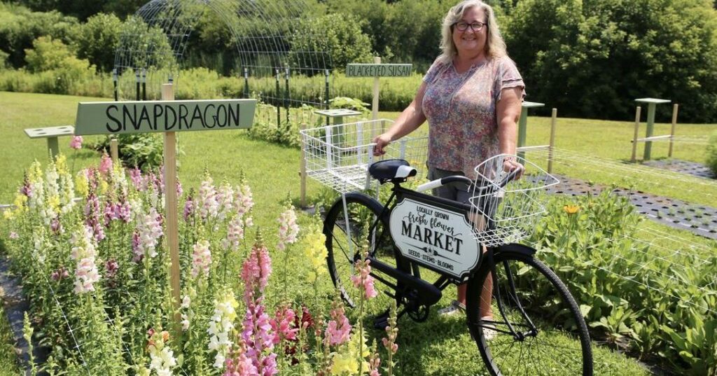 Heather's Vermont Flower Farm: You-pick opens in Highgate | Business