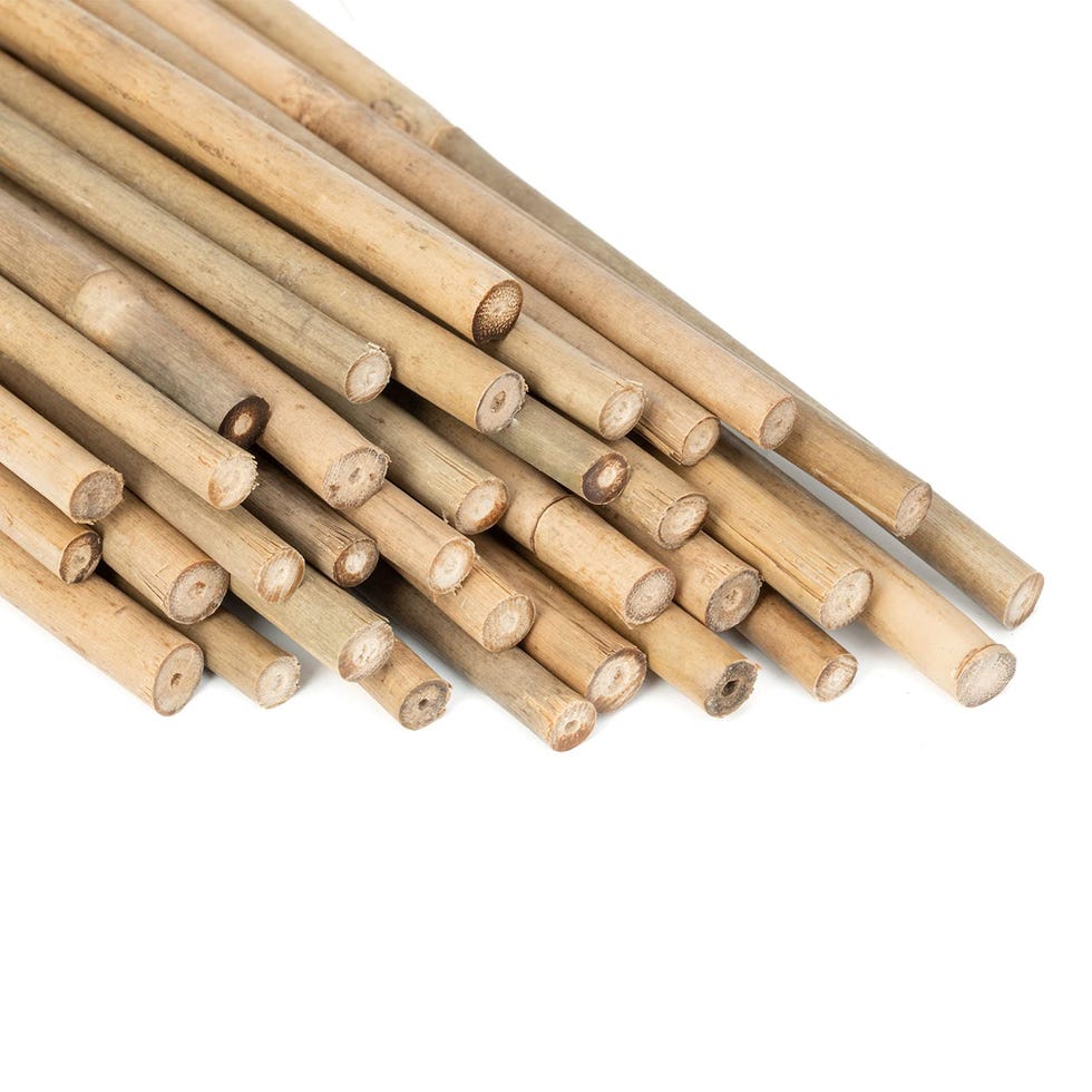 Bamboo Stakes