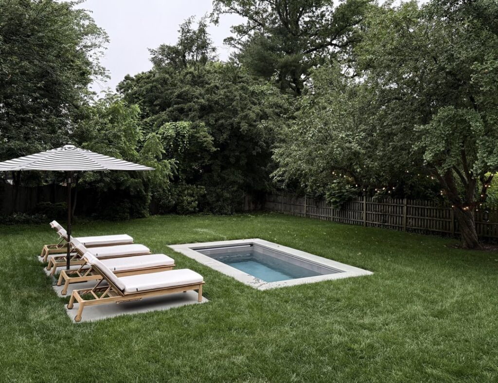 At a loss with what I think is a fungus in Central NJ At a loss with what I think is a fungus in Central NJ