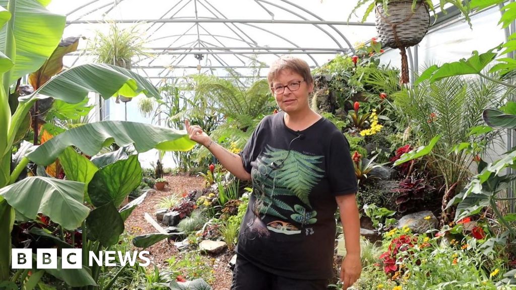 St Andrew’s Healthcare community garden to appear BBC Two St Andrew's Healthcare community garden to appear BBC Two