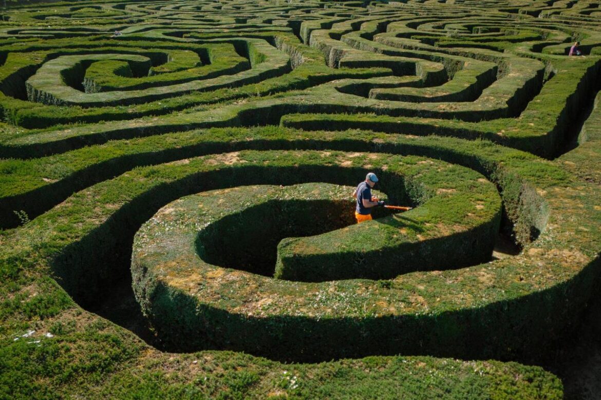 Dozen gardeners complete 500-hour job to trim hedge maze Swindon Advertiser
