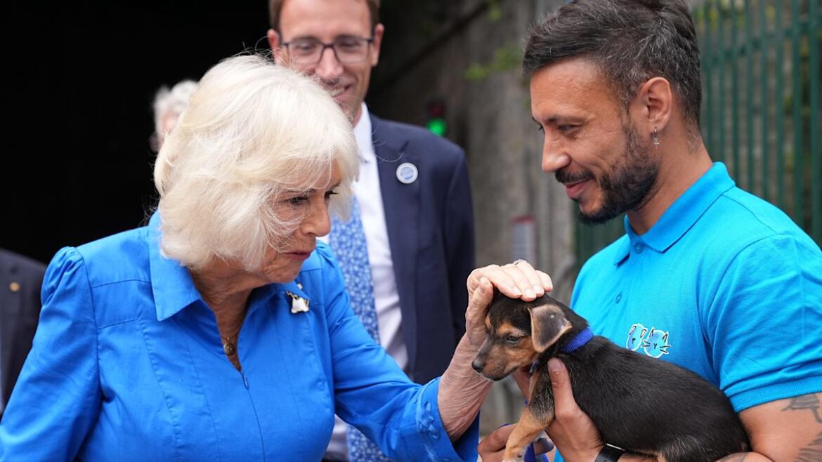 Camilla smitten with Battersea puppy as she opens dog-friendly garden Camilla smitten with Battersea puppy as she opens dog-friendly garden