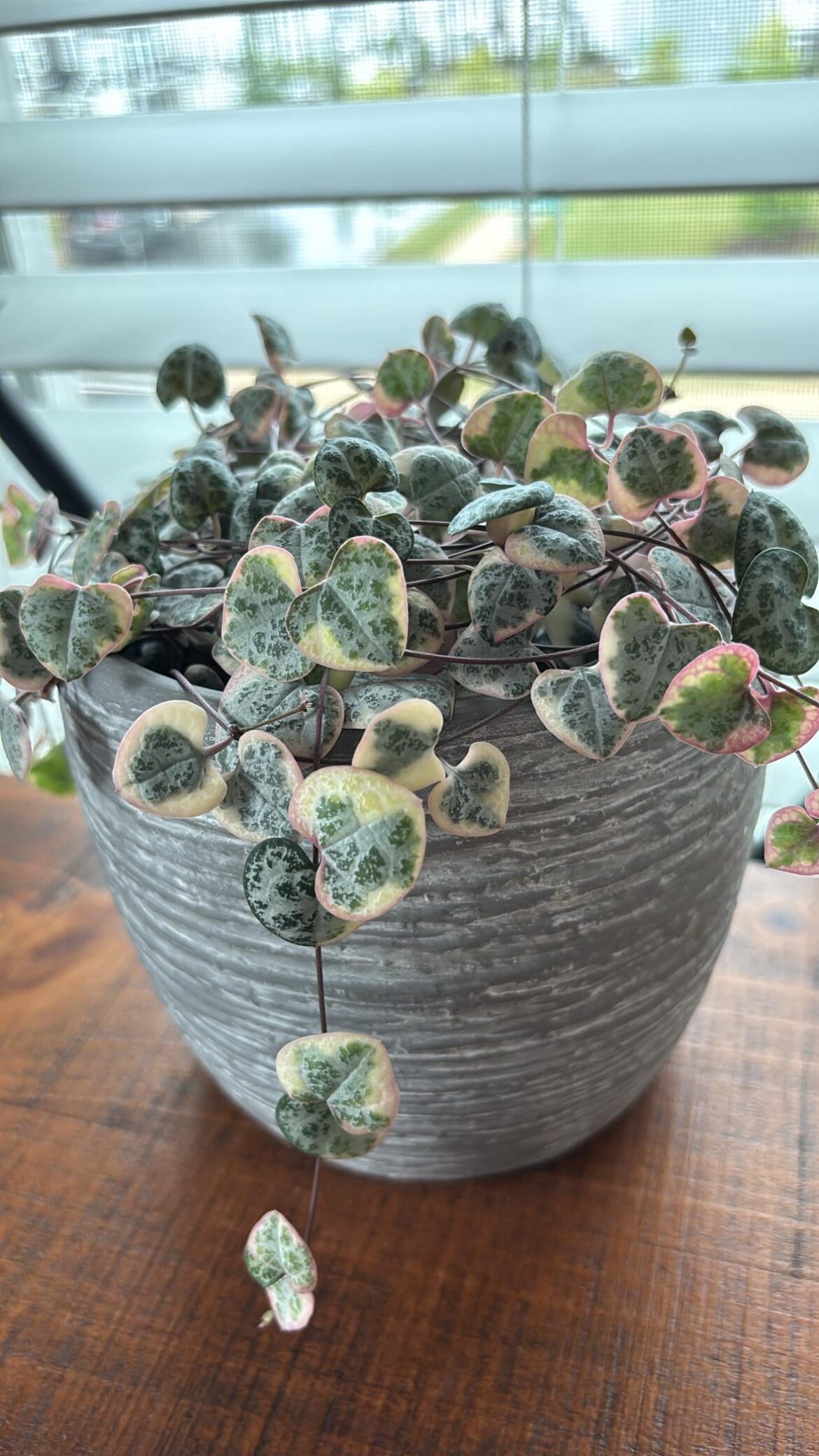 She’s thriving 😍