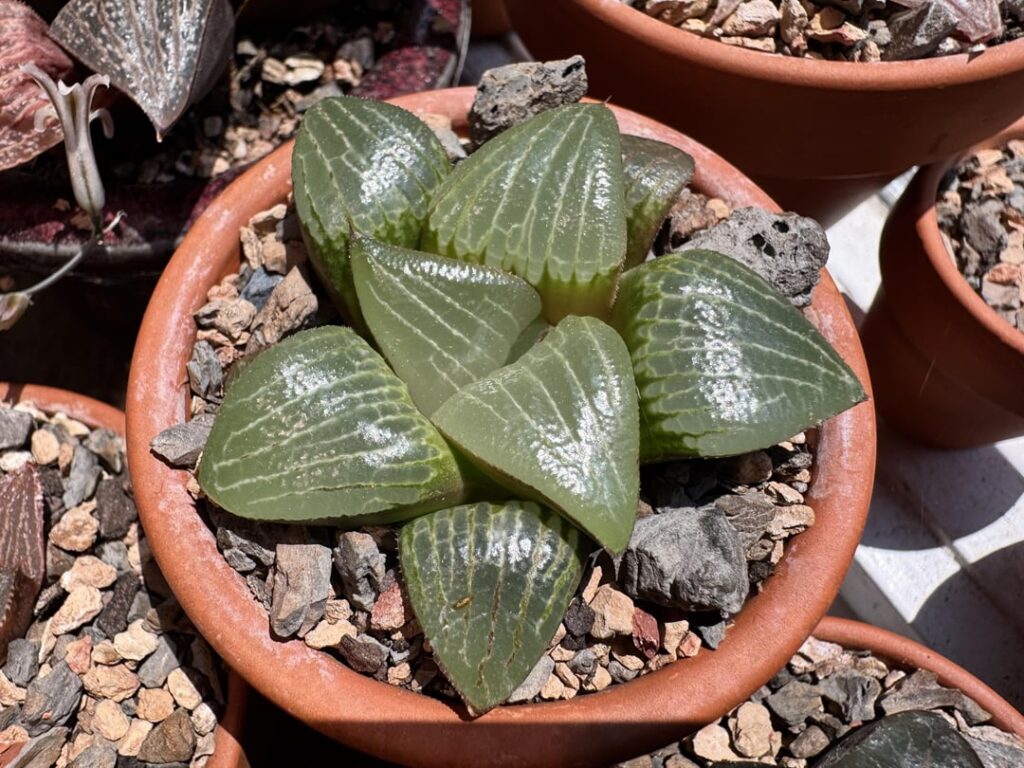 Some pics from this weekend!