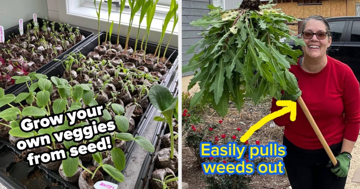 27 Gardening Must-Haves For Beginners