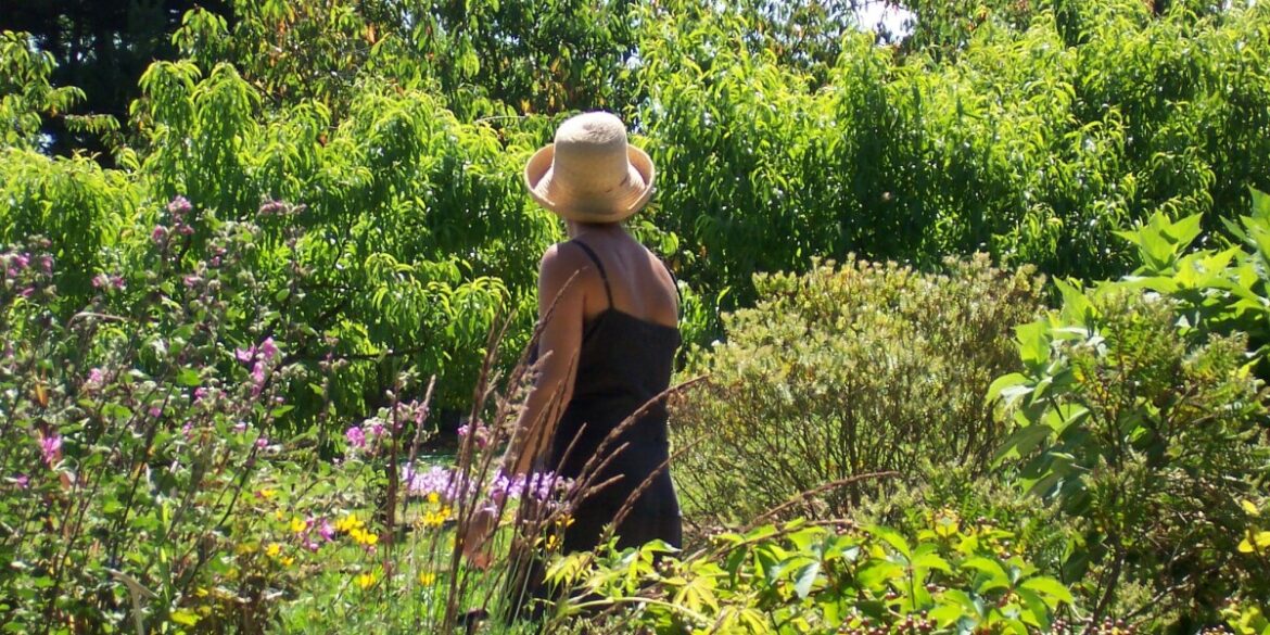 Explore Remarkable Summer Gardens in France Explore Remarkable Summer Gardens in France