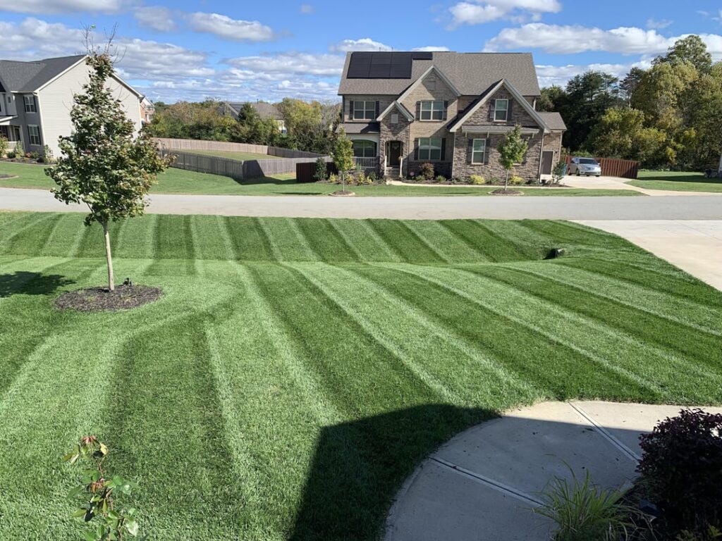 TTTF in 8a Transition Zone TTTF in 8a Transition Zone