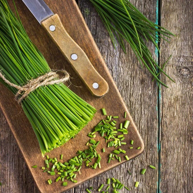 Chives Seeds, Common