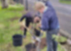 Glynn Primary School pupils planting native trees in their school garden