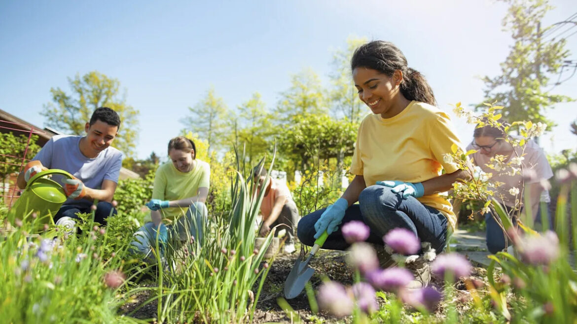 Yahoo lifestyle home