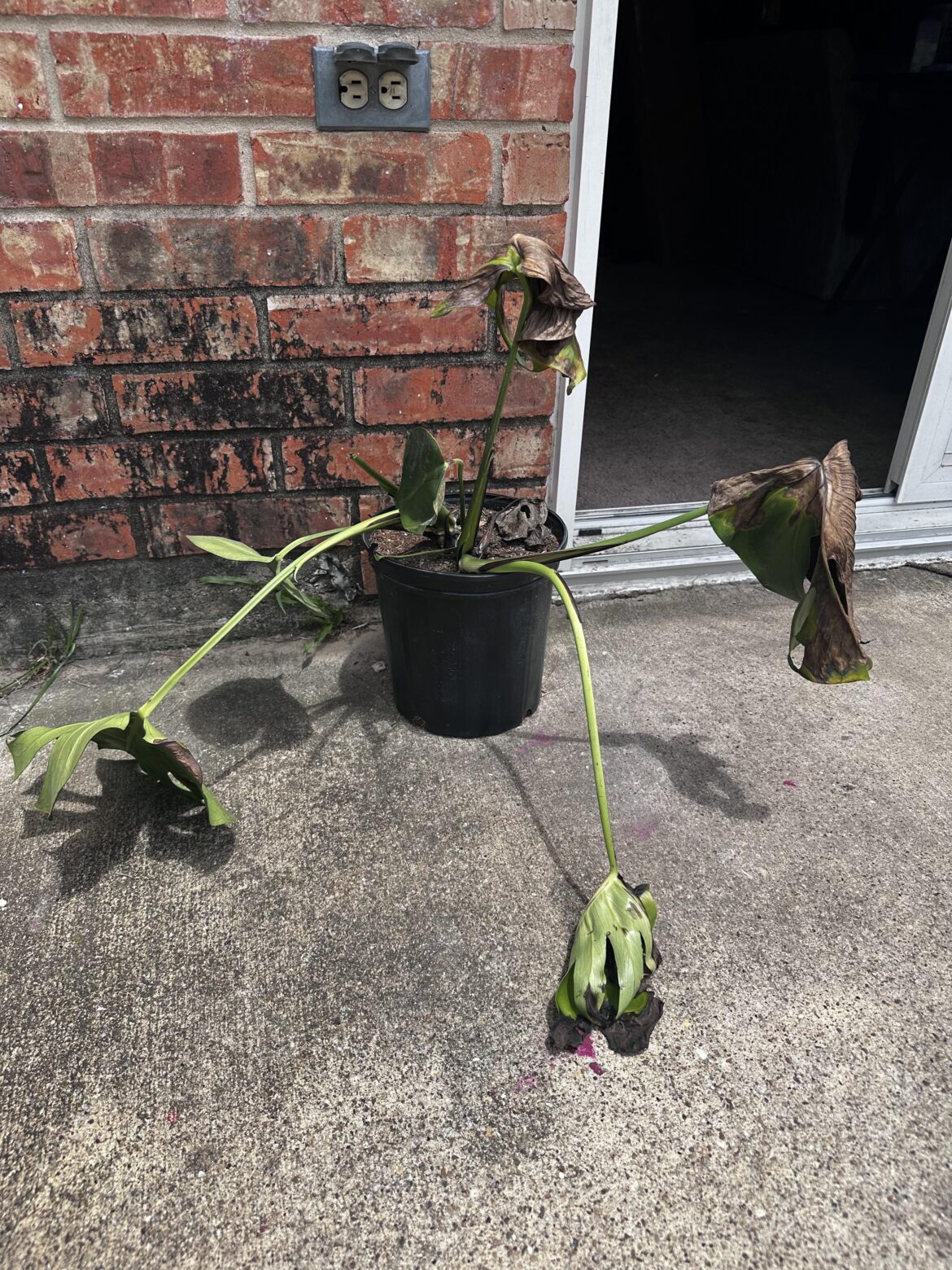 Need to vent Need to vent