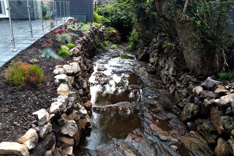 The image shows the very shallow brook