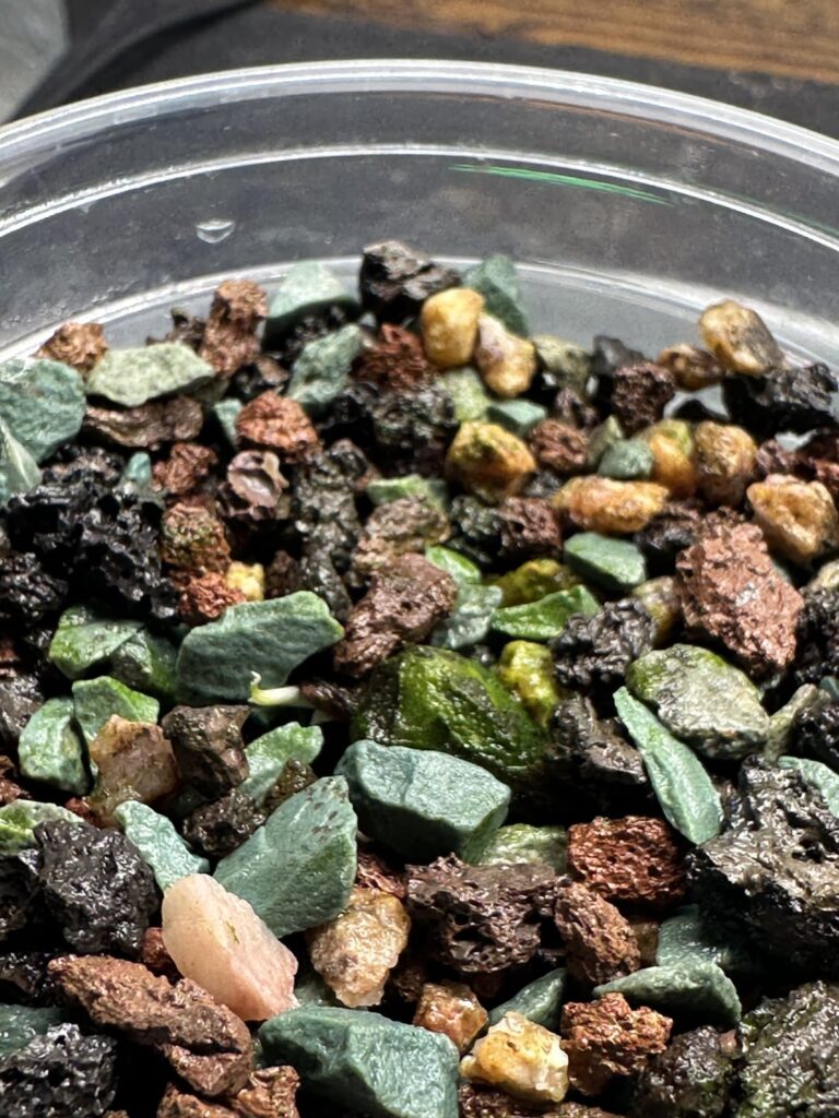 new leaves 🤩