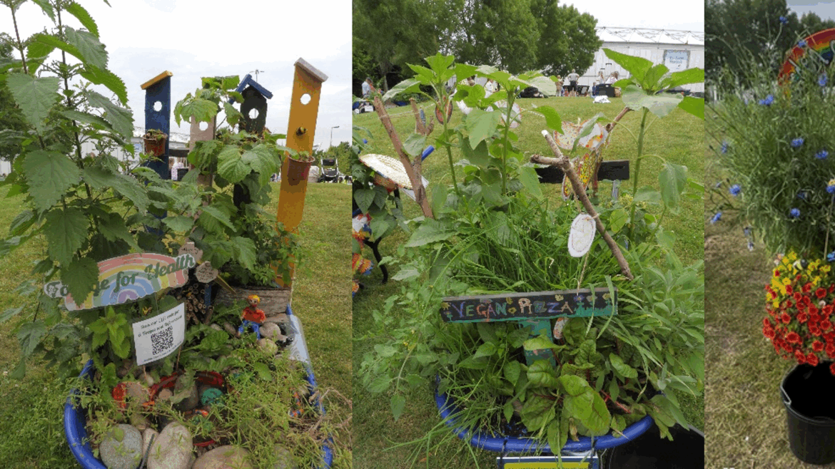 Three local schools win ‘best in show’ at BBC Gardeners’ World Live 2025