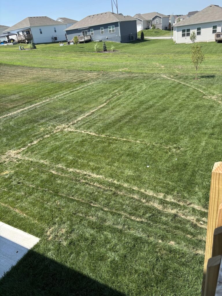 Irrigation is in, now what? Irrigation is in, now what?