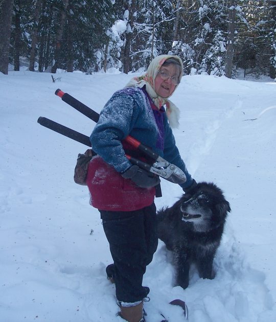 Woman with clippers and a dog