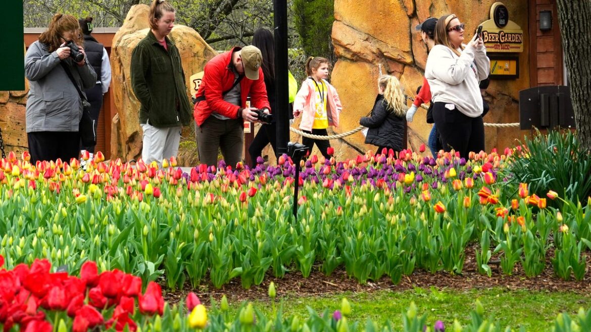 Why the botanical garden is the unsung hero of the Cincinnati Zoo