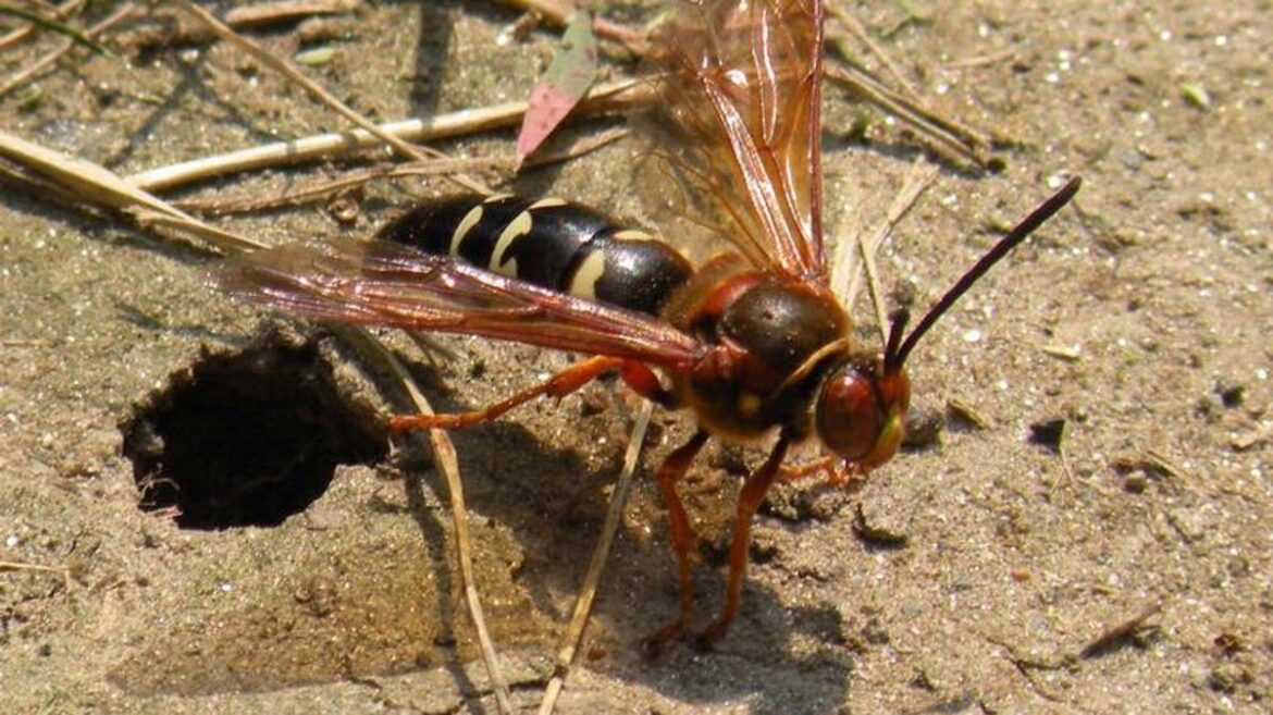 Looking at the wonders of nature Looking at the wonders of nature