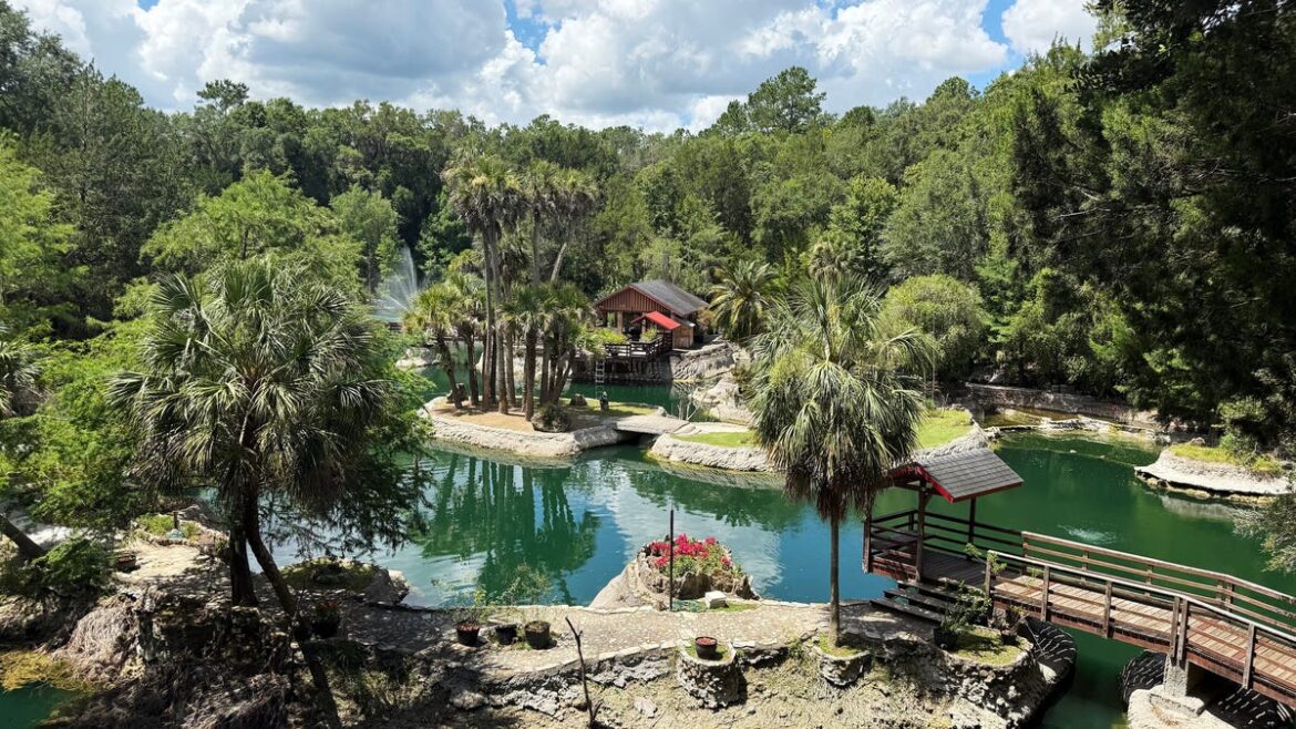Cedar Lakes Woods and Gardens a hidden gem in Levy County Florida