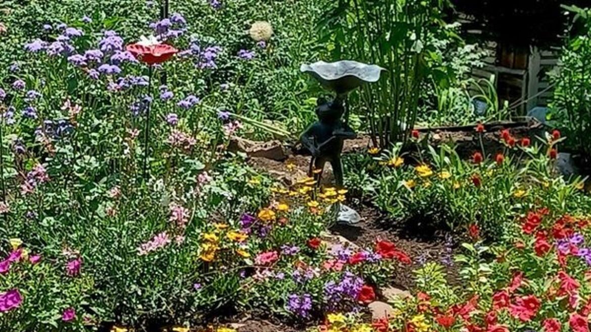 'Pollinators Peace Garden' this week's photo contest selection