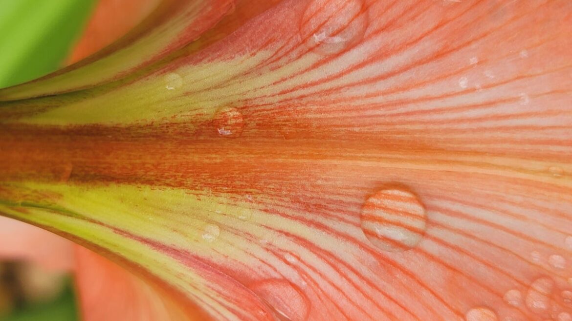 The right action at the right time to prevent disease The right action at the right time to prevent disease