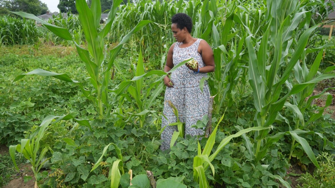 Garden serving Bhutanese Nepali refugees celebrates grand opening