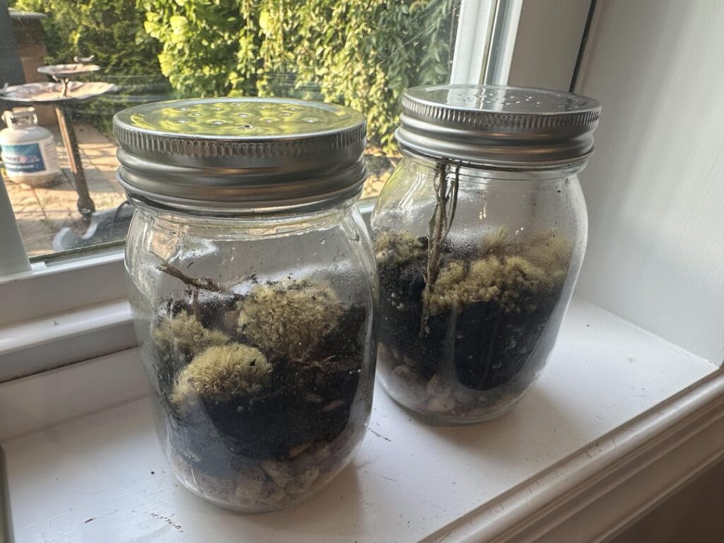 Brand new to this… any tips? Brand new to this... any tips?