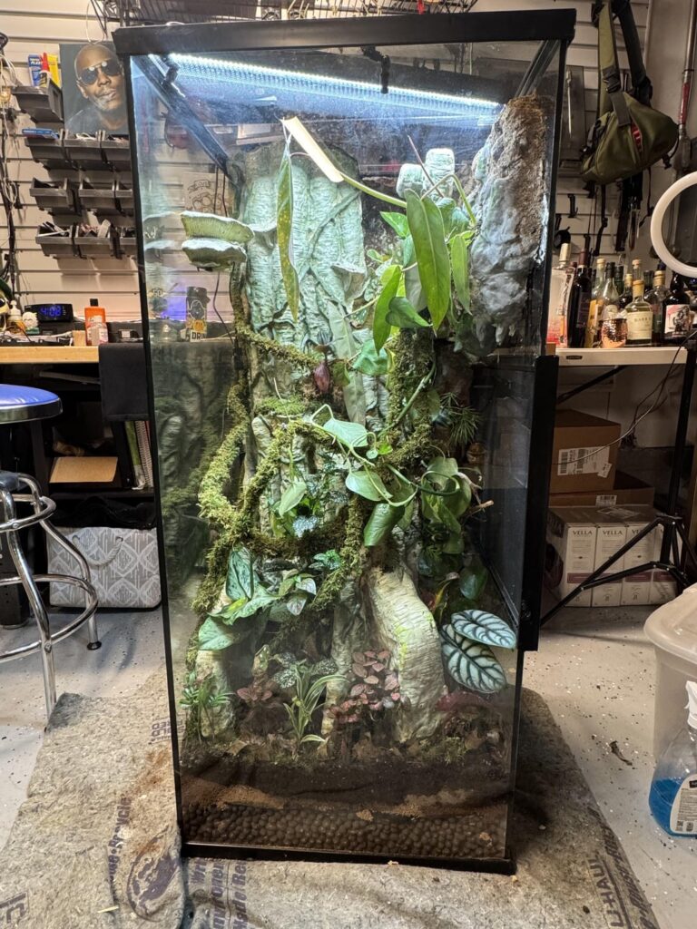 A year later and 1.5 gallons of zoopoxy, my red eyed tree frog vivarium is complete.