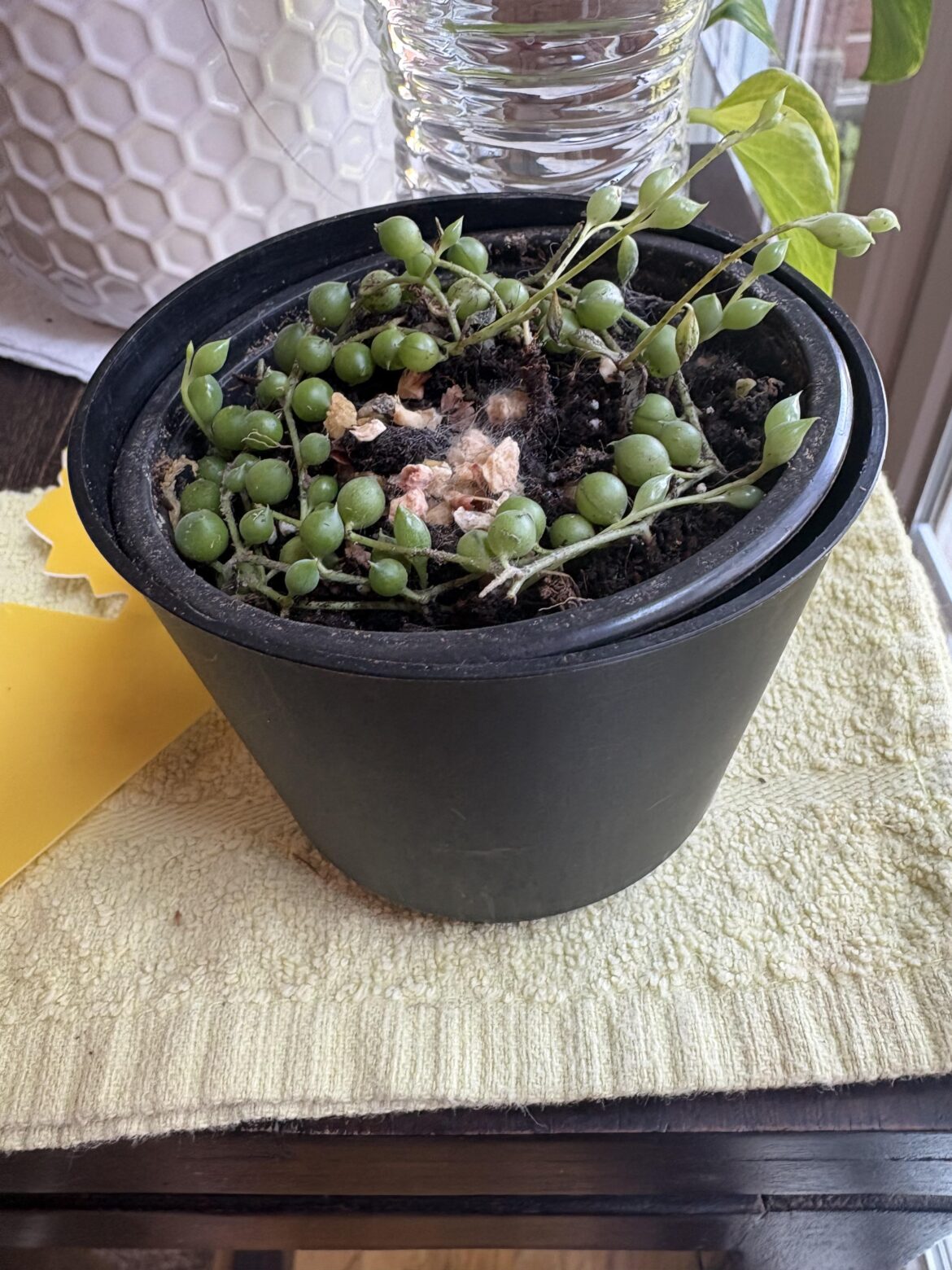 Help!