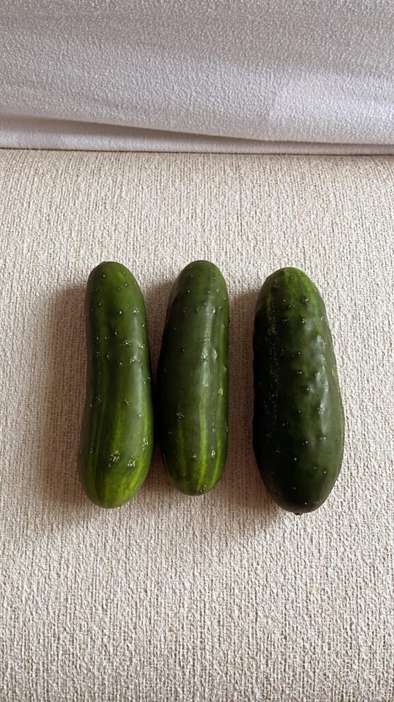 I know I’m not supposed to post in this sub because I’m from the states but I planted my first seed in March 2025 and this sub helped me a lot (before I was bullied into leaving 😂) I just wanted to share my first harvest and thank those who were kind and helped me. 🫶🏽